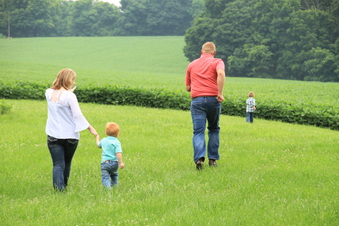 Enlarge photo 408