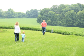 Enlarge photo 409