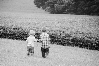 Enlarge photo 421