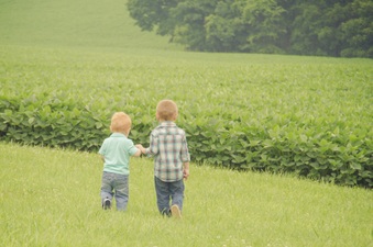 Enlarge photo 422