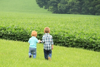 Enlarge photo 423