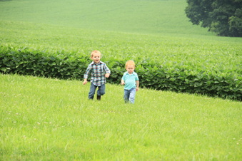 Enlarge photo 432