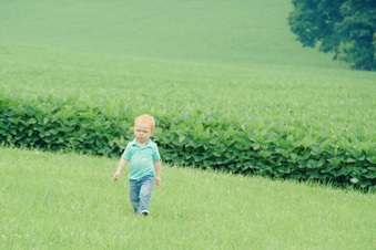 Enlarge photo 433