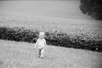 Enlarge photo 434