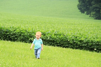 Enlarge photo 435