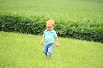 Enlarge photo 437