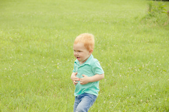 Enlarge photo 442