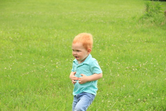 Enlarge photo 443