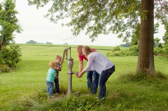 Enlarge photo 473