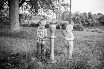 Enlarge photo 485