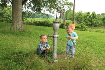 Enlarge photo 486