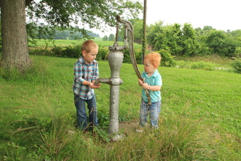Enlarge photo 489