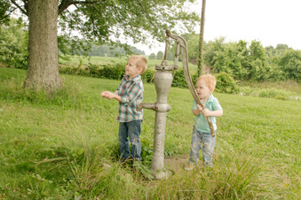 Enlarge photo 490