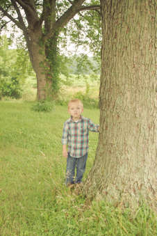 Enlarge photo 505