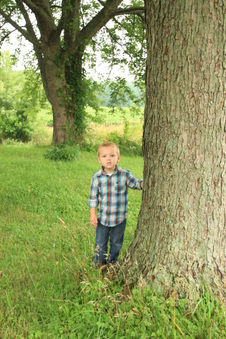 Enlarge photo 506
