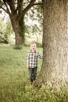 Enlarge photo 507