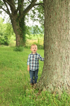 Enlarge photo 508