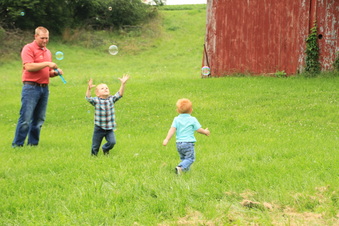Enlarge photo 530