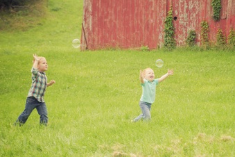 Enlarge photo 532