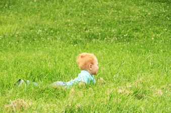Enlarge photo 534