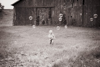 Enlarge photo 535