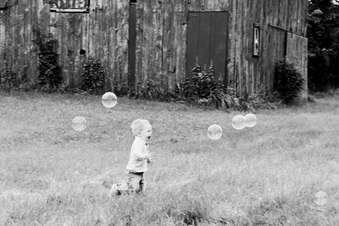 Enlarge photo 537