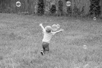 Enlarge photo 543