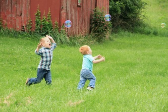 Enlarge photo 549