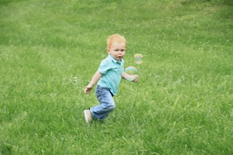 Enlarge photo 557
