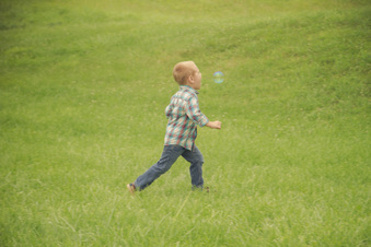 Enlarge photo 558