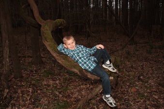 Enlarge photo 82