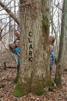 Enlarge photo 165