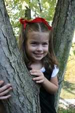 Enlarge photo 175