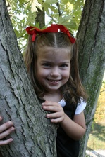 Enlarge photo 176