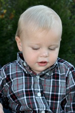 Enlarge photo 162