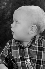 Enlarge photo 159