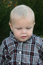 Enlarge photo 160