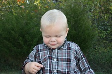 Enlarge photo 154
