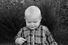 Enlarge photo 158