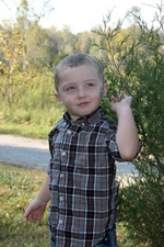 Enlarge photo 105