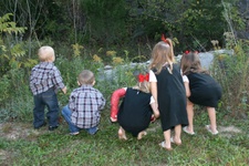 Enlarge photo 46