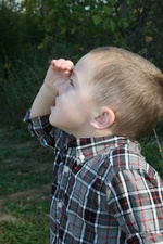 Enlarge photo 97