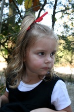 Enlarge photo 132