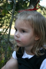 Enlarge photo 130