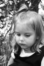 Enlarge photo 126