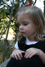 Enlarge photo 67
