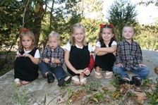 Enlarge photo 44