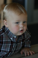 Enlarge photo 52