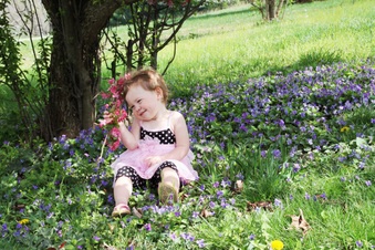 Enlarge photo 22