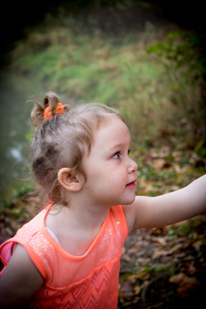 Enlarge photo 139